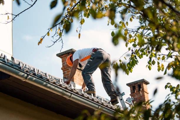 Best Roof Maintenance Services  in Mogul, NV